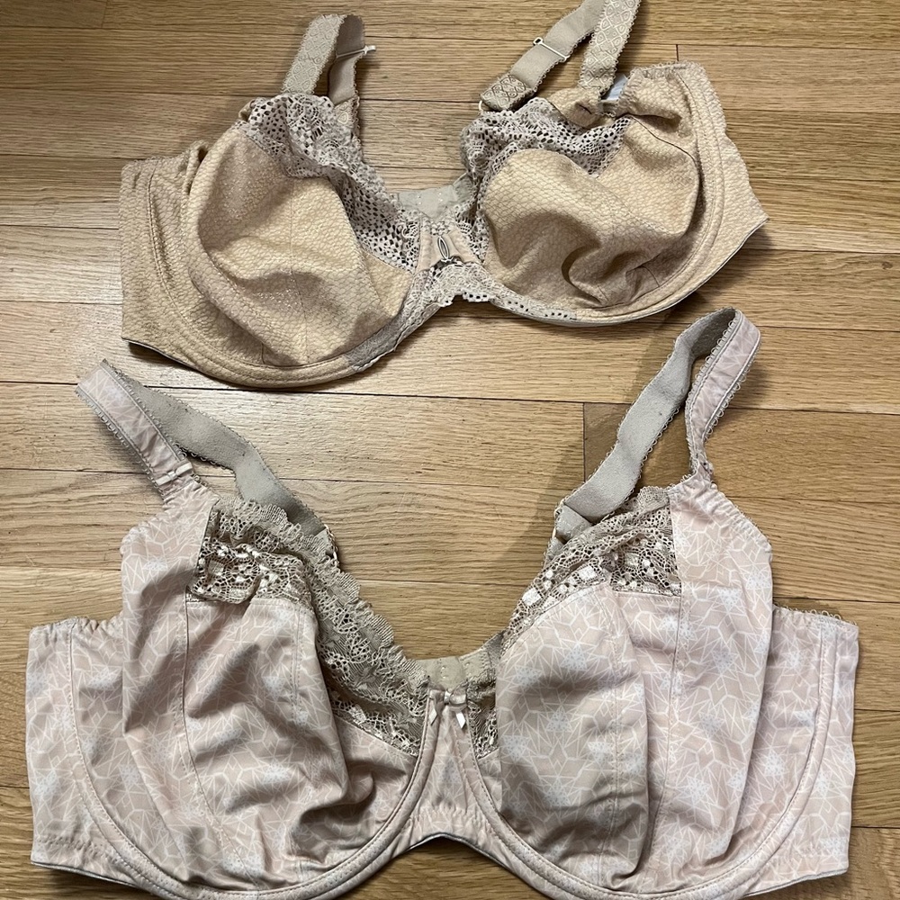 Elomi Charlie and Kim bras size 40i